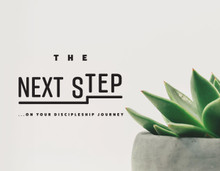 The Next Step (April 22  - May 20,  2017)