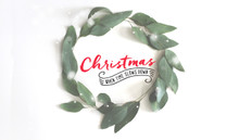"Christmas: When Time Slows Down" -  (November 28 - December 26,  2015)