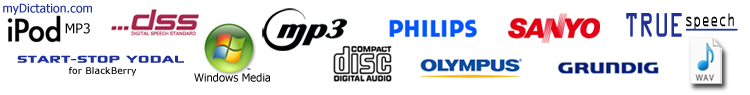 SST 12 supports most popular and obscure audio formats