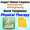Physical Therapy Templates for Dragon Medical Practice Edition 2.3