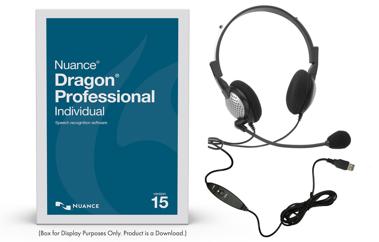 best price for dragon professional individual v15