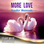 More Love Subliminal (Stuart Wilde) CD