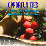 Opportunities Subliminal (Stuart Wilde) MP3