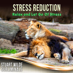 Stress Reduction Subliminal (Stuart Wilde) MP3