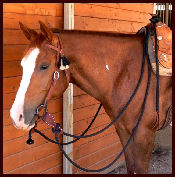 Mecate Reins B & H Rope Halters