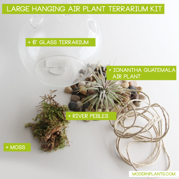 big-air-plant-terrarium-kit.jpg
