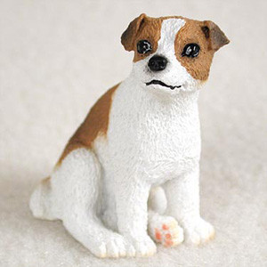 jack russell terrier bonsai