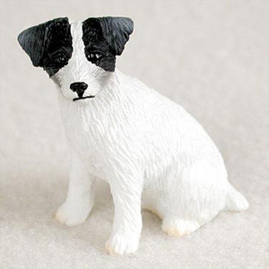 jack russell terr blk
