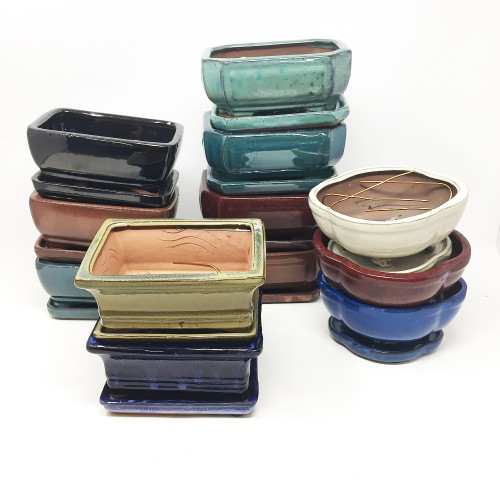 6 Glazed bonsai Pot with Humidity Tray Bonsai Outlet 6 Glazed bonsai Pot with Humidity Tray Bonsai Outlet
