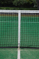 Tennis Net Centre Strap - Buckle