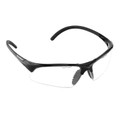Tecnifibre Eye Protection Glasses (Black)