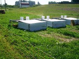 chix-pastured-pen-production.jpg