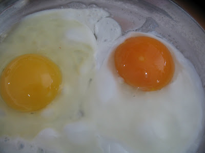 eggcompare.jpg
