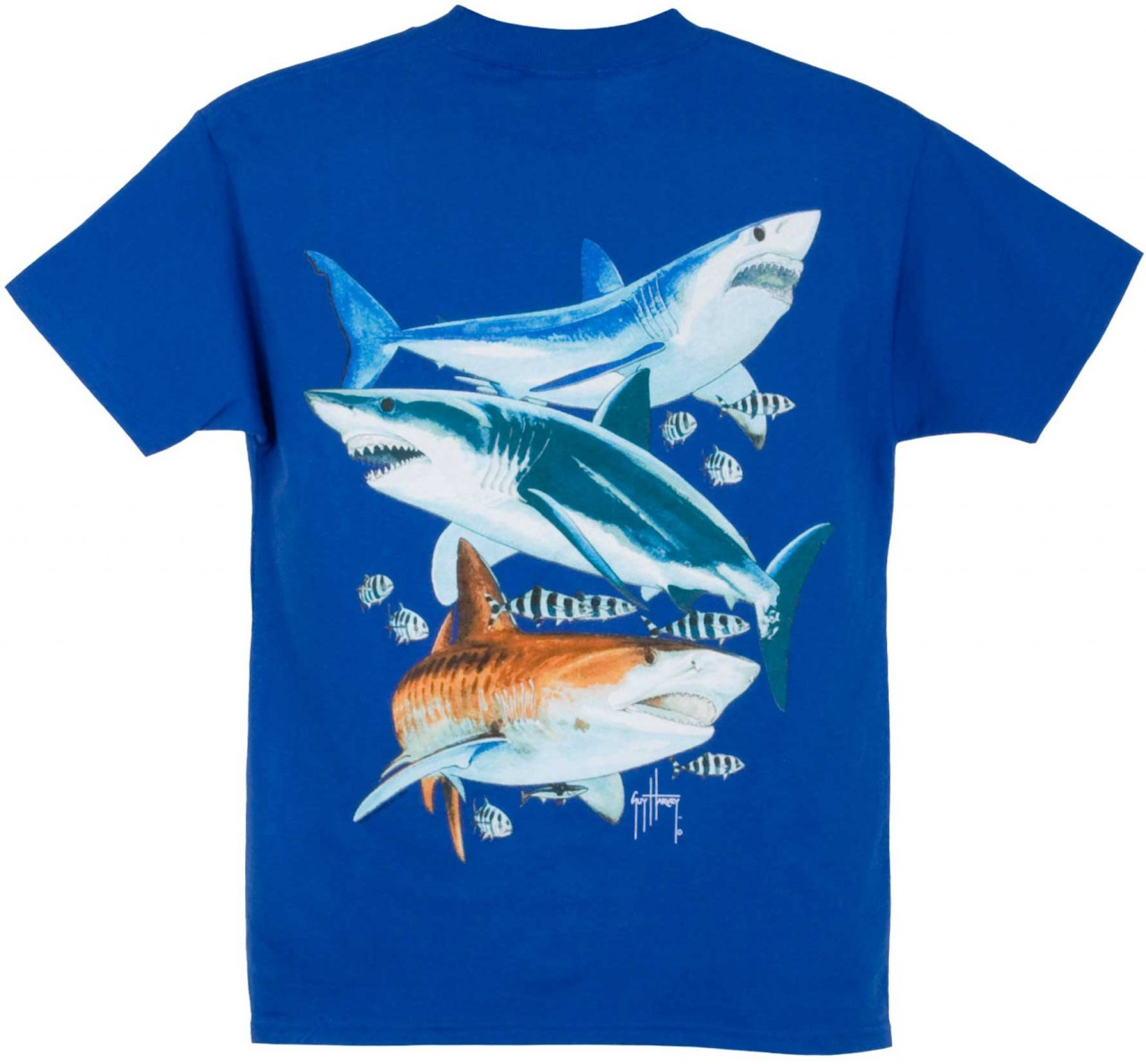 Guy Harvey 3 Sharks Boys Tee Shirt in Yellow, Royal Blue, Red or Lime