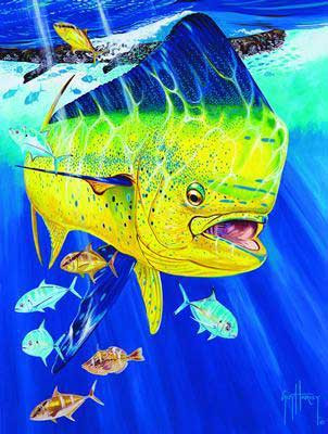 Guy harvey magazine 2025 circulation