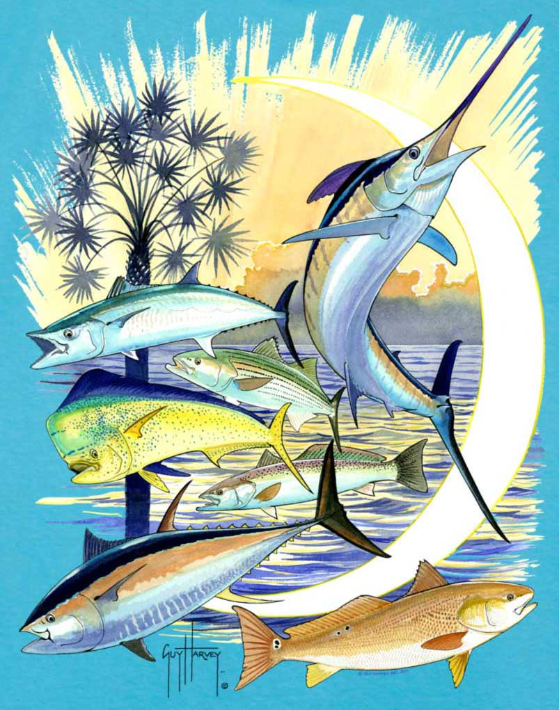 mahi mahi guy harvey wallpaper