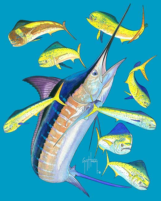 Guy Harvey Marlin Dorado Back-Print Ladies Tee with Front Signature in  Caribbean Blue, Raspberry or White