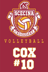 Scecina Volleyball Banners