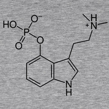 Psilocybin molecule T-Shirt Magic mushrooms Psychedelic fungi 
