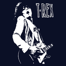 T-Rex T-Shirt Marc Bolan Get it on Glam rock