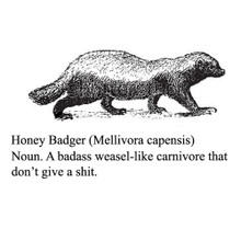 Honey Badger definition T Shirt He don't give a shit! BlackSheepShirts