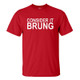 Consider it brung t shirt