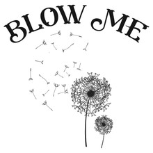 Funny T-Shirt Blow me Rude tee 
