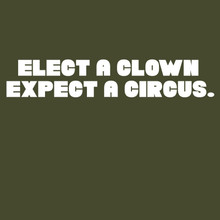 Funny T-Shirt ELECT A CLOWN EXPECT A CIRCUS.