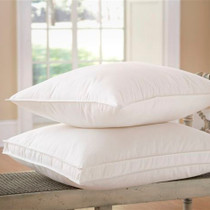 Sierrra Down Alternative Pillow