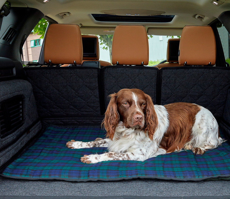 luxury dog travel beds