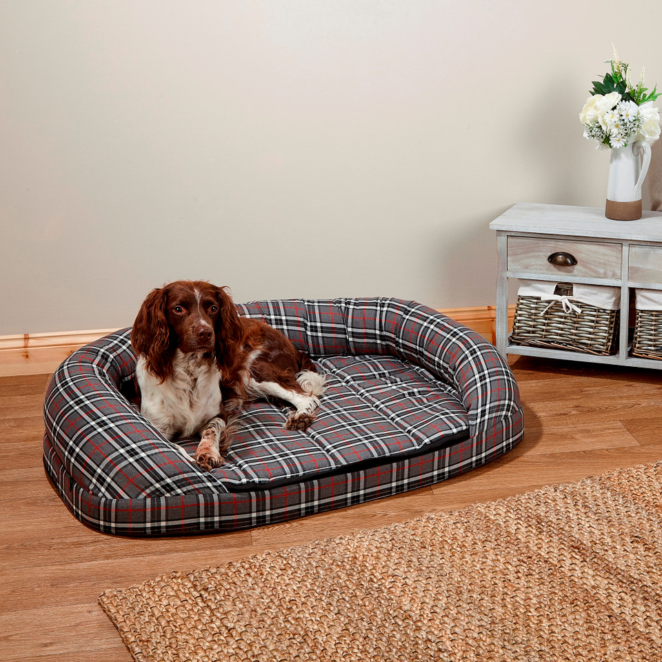custom dog bed