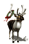 reindeer12.gif