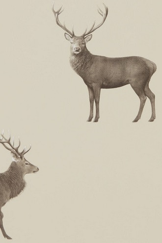 Evesham Deer Wallpaper in Birch (double roll)