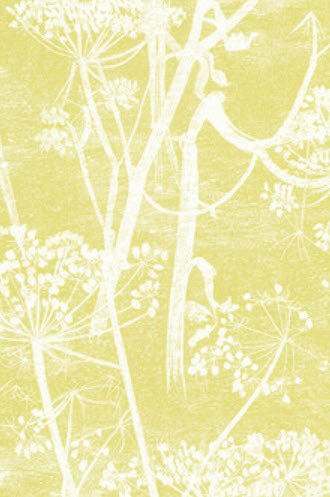 Cow Parsley Wallpaper in Gold 