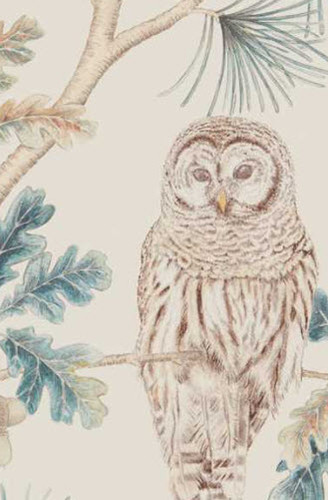 Owlswick  Wallpaper in Teal