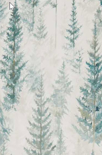 Juniper Pine Wallpaper in Forest