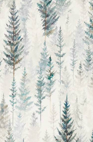 Juniper Pine in Pine Forest