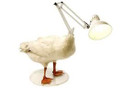 [Sample Product] Duck Lamp