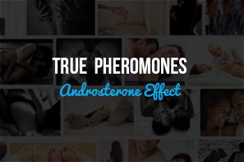 Pheromone Androsterone