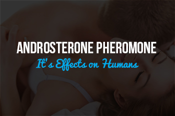 Pheromone Androsterone