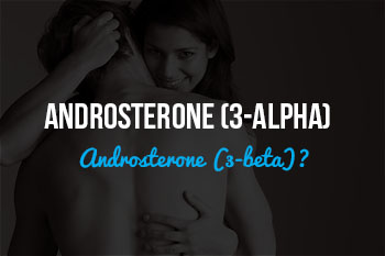 Pheromone Androsterone