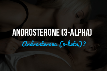 Pheromone Androsterone