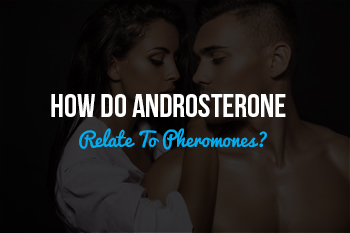 Pheromone Androsterone