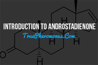 androstadienone