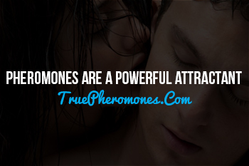 Pheromones