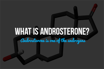 Pheromone Androsterone