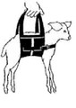Lamb Weighing Sling