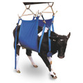 Daisy-Lifter Cow Sling