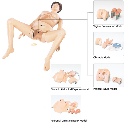 read mesenchymal stem cells in cancer therapy 2014