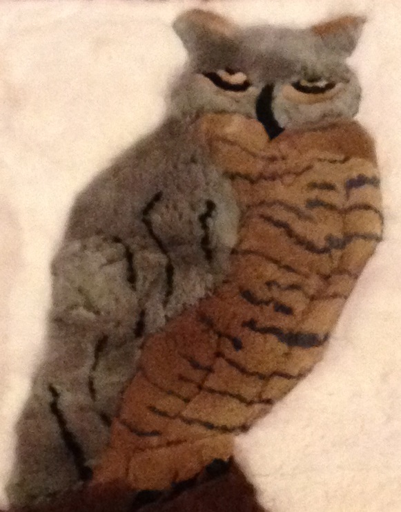 Owl Closeup on Custom Alpaca Rug